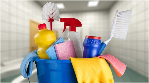 Professional cleaning company servicing homes in Chiswick