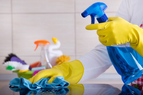 Professional upholstery cleaning for sofas in a Chiswick home