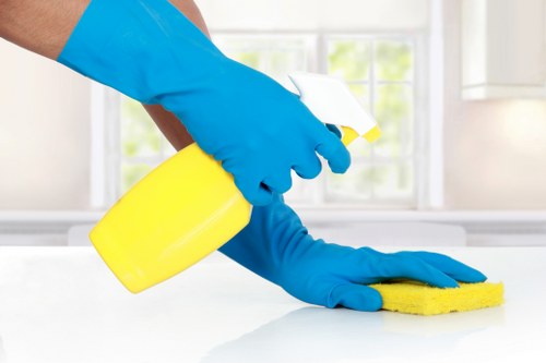 Professional carpet cleaning in a Chiswick home lounge