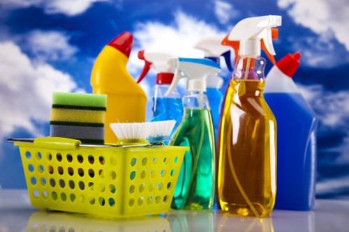 Oven cleaning service in Chiswick with sustainable waste sorting