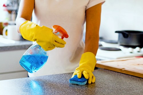 Local cleaning service for homes and offices around Chiswick