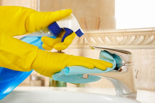 Safe removal and cleaning of oven racks during a professional cleaning service