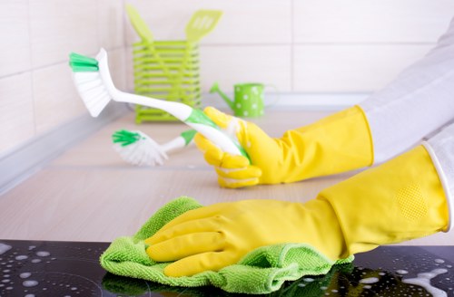 Updated accessibility statement for local oven cleaning services