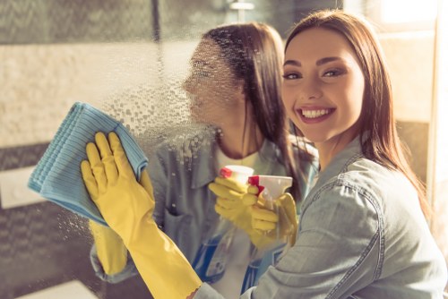 Stain and odour treatment for rugs in Chiswick homes and businesses