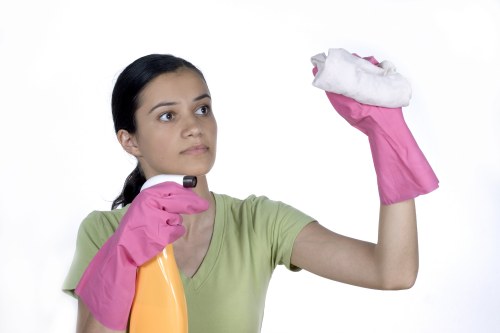House cleaning support for a flat near Chiswick high street