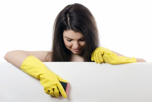 Screen-reader compatible local oven cleaning information