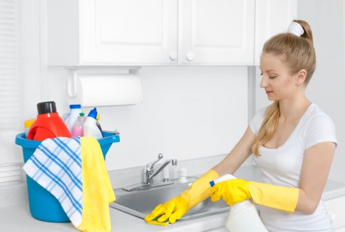 Domestic cleaning supplies ready for a Chiswick property clean
